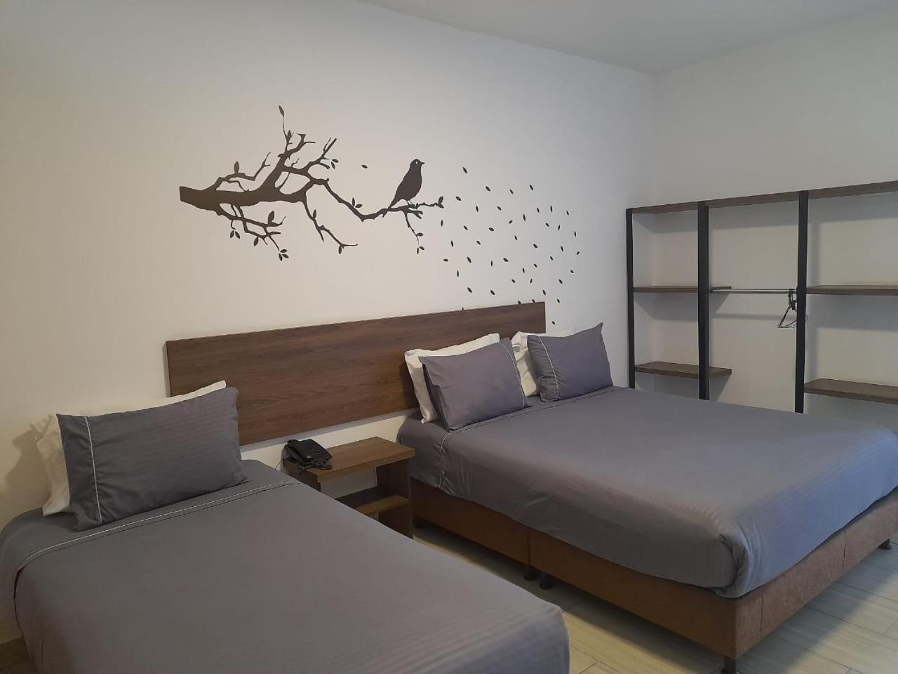 Hotel Entre Lomas Santa Rosa de Cabal Zewnętrze zdjęcie